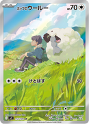 Full Art Pokemon Japanese Pokemon