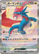 Full Art Pokemon Japanese Pokemon