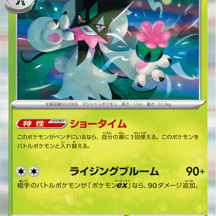 Base Set Pokemon Japanese Pokemon