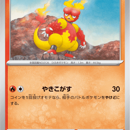 Base Set Pokemon Japanese Pokemon