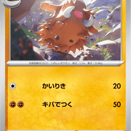 Base Set Pokemon Japanese Pokemon