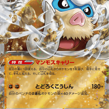 Base Set Pokemon Japanese Pokemon