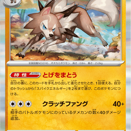 Base Set Pokemon Japanese Pokemon