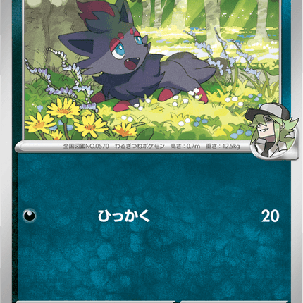 Base Set Pokemon Japanese Pokemon
