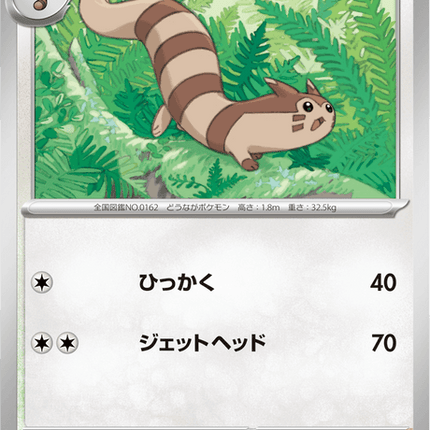 Base Set Pokemon Japanese Pokemon