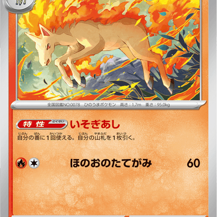 Base Set Pokemon Japanese Pokemon