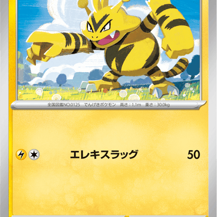 Base Set Pokemon Japanese Pokemon
