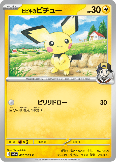 Base Set Pokemon Japanese Pokemon