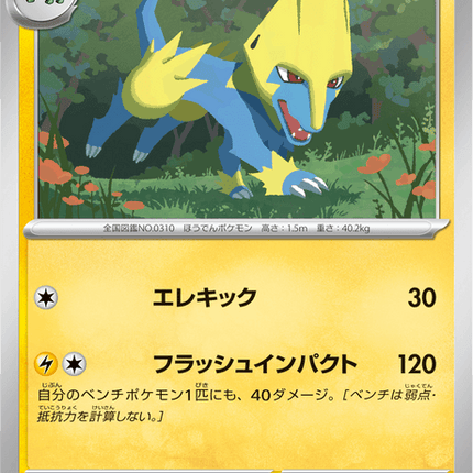 Base Set Pokemon Japanese Pokemon