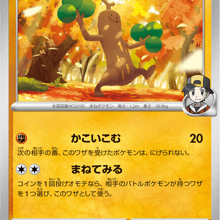 Base Set Pokemon Japanese Pokemon