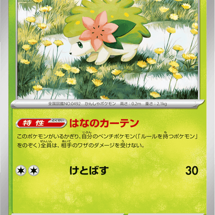 Base Set Pokemon Japanese Pokemon