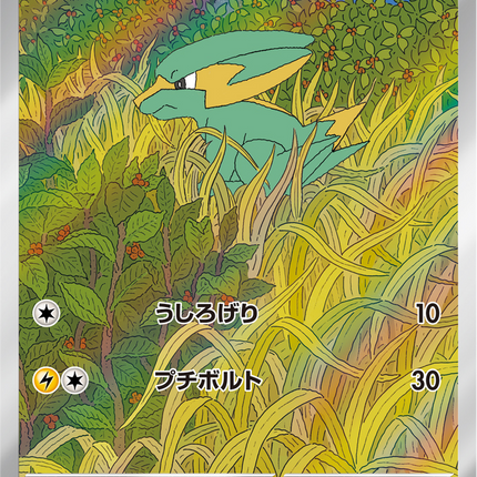 Full Art Pokemon Japanese Pokemon