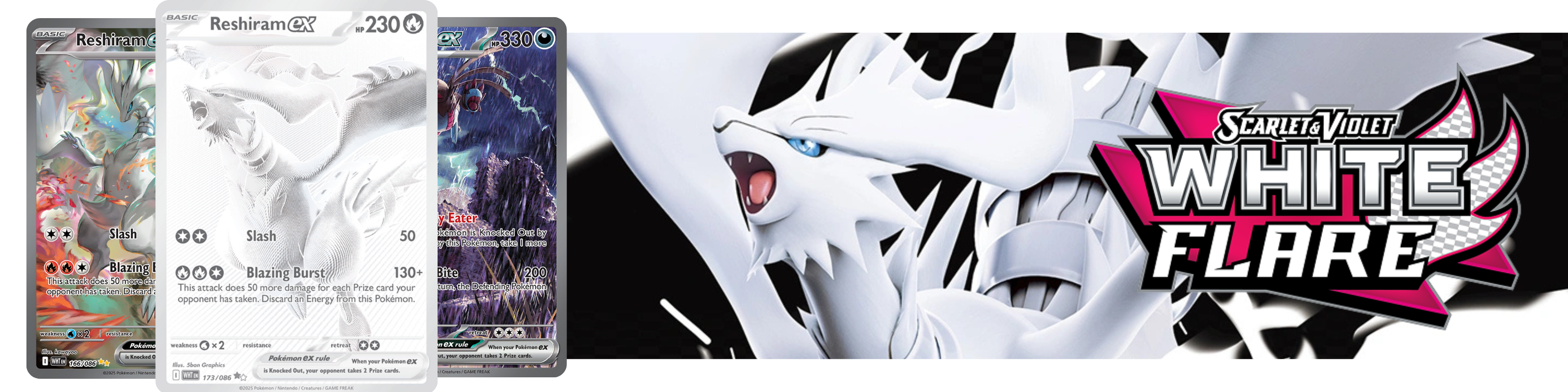 WF_COLLECTION_e956465f-c7db-41c6-9449-2014b3388da2.png
